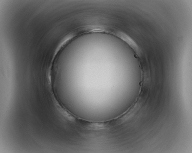 X0000114221190200910161301