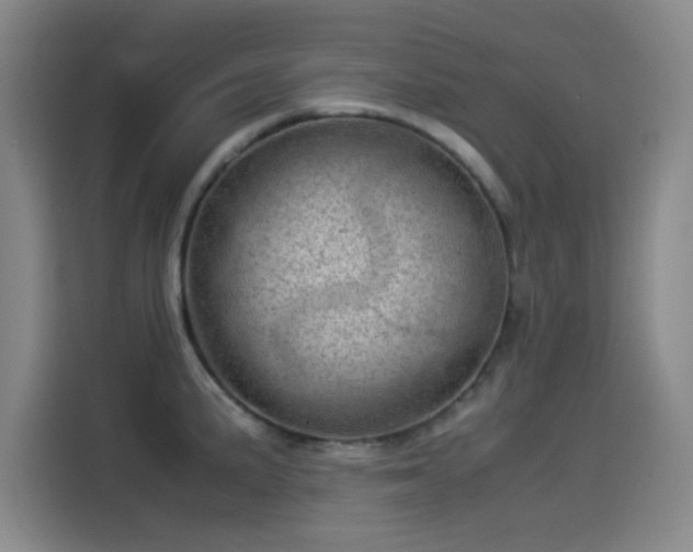 X0000114221191200910161301