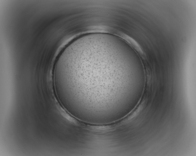 X0000114221192200910161301