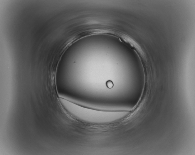 X0000114221193200910161301