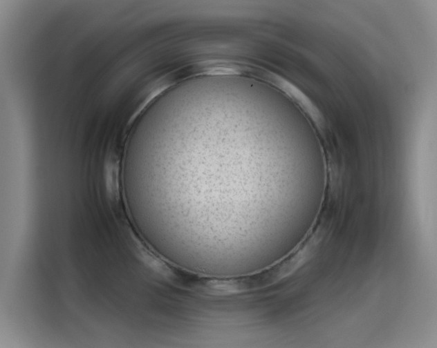 X0000114221194200910161301