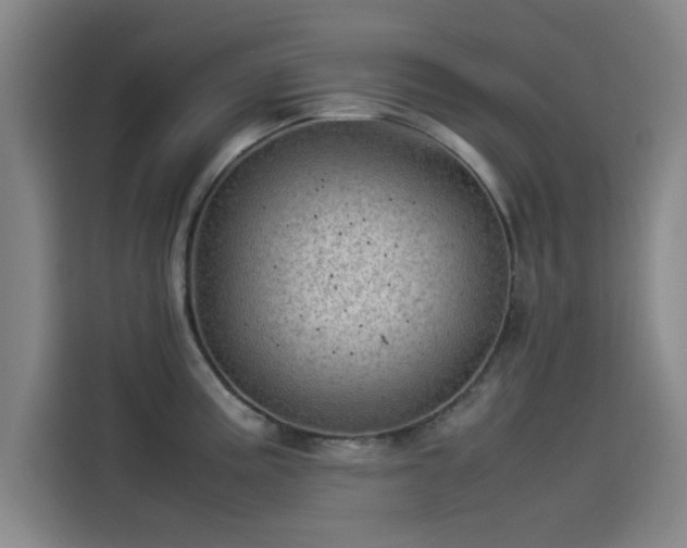 X0000114221195200910161301