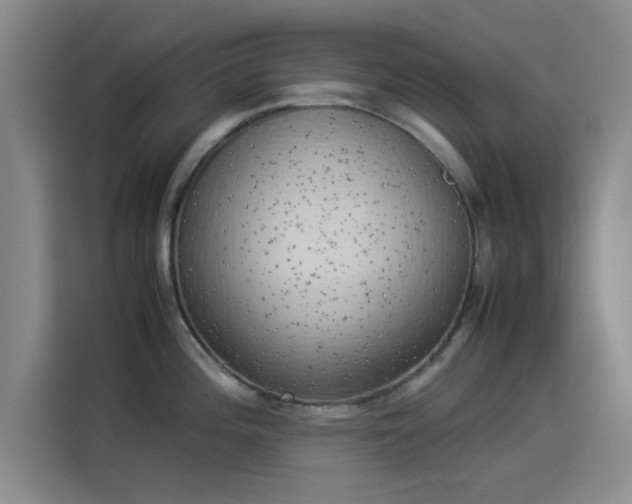 X0000114221196200910161301