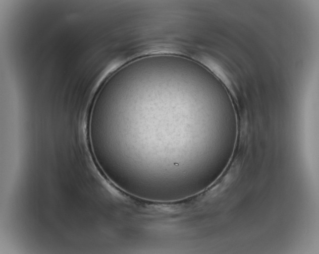 X0000114221197200910161301