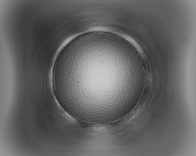 X0000114221199200910161301