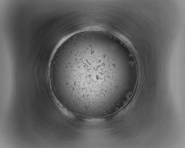 X0000114221200200910161301