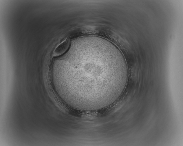 X0000114221201200910161300