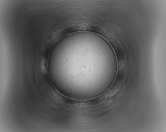 X0000114221202200910161300