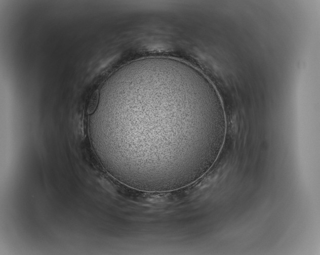 X0000114221205200910161300