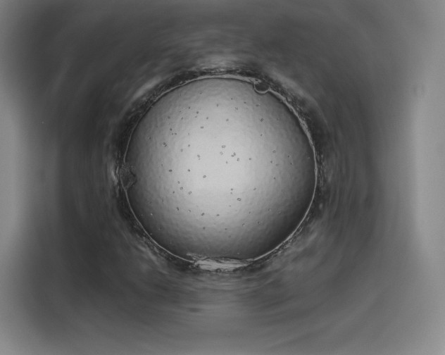 X0000114221206200910161300