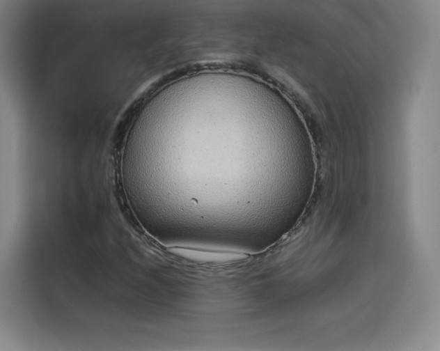 X0000114221208200910161301