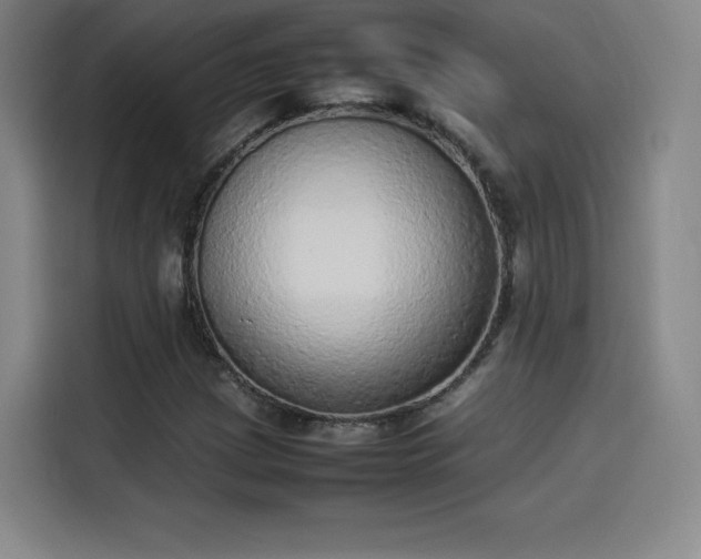 X0000114221209200910161301