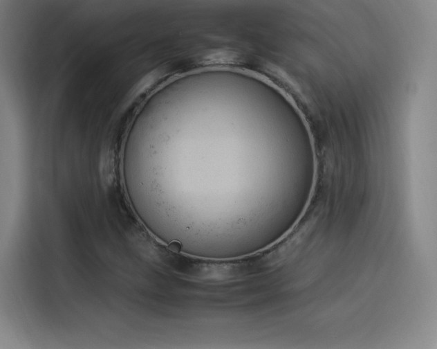 X0000114221211200910161301