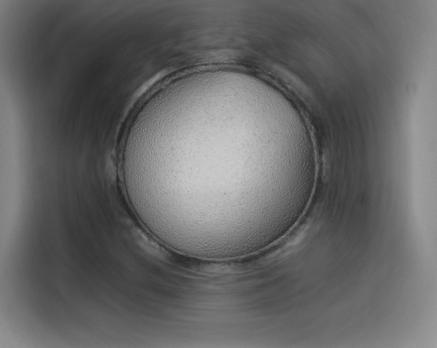 X0000114221212200910161301