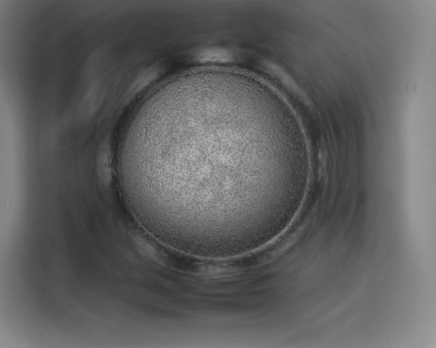 X0000114221213200910161301