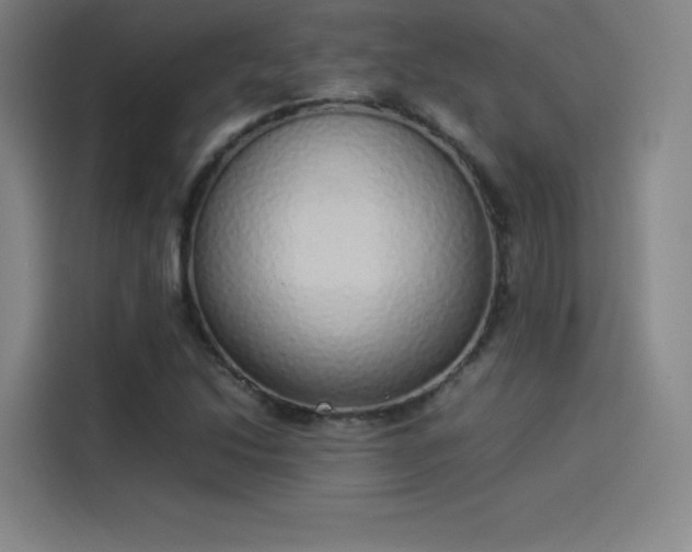 X0000114221214200910161301