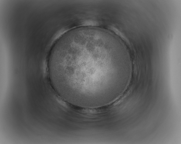 X0000114221215200910161301