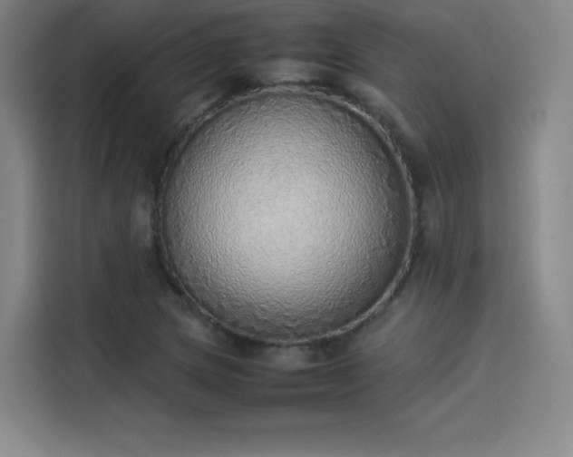 X0000114221217200910161301