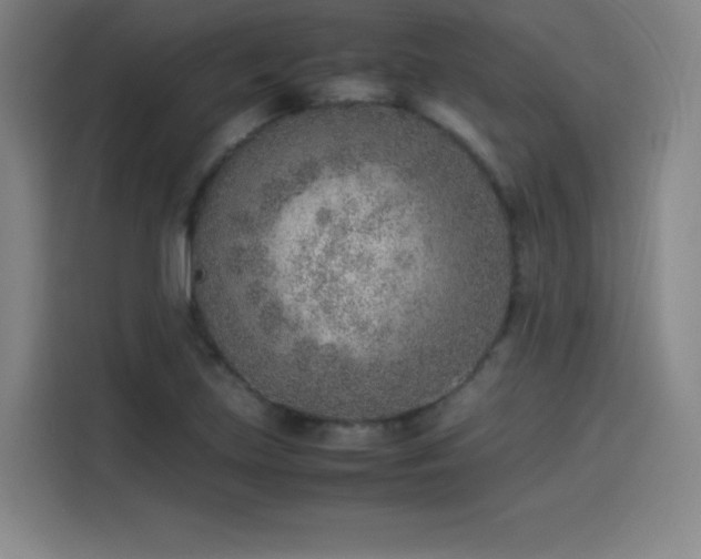 X0000114221219200910161301