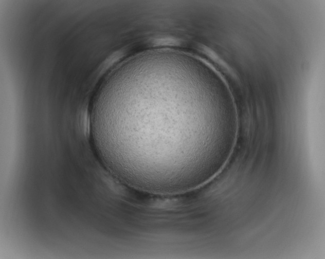 X0000114221221200910161301