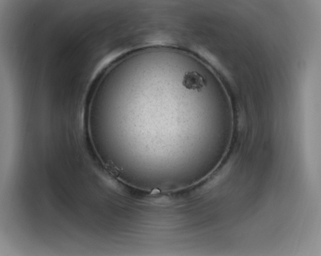 X0000114221222200910161301