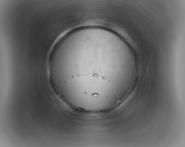 X0000114221224200910161301