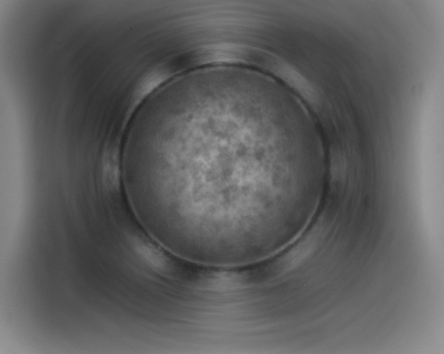 X0000114221226200910161301