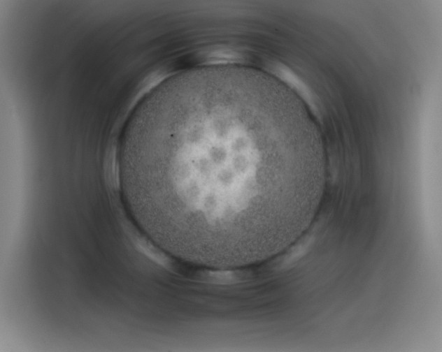 X0000114221227200910161301