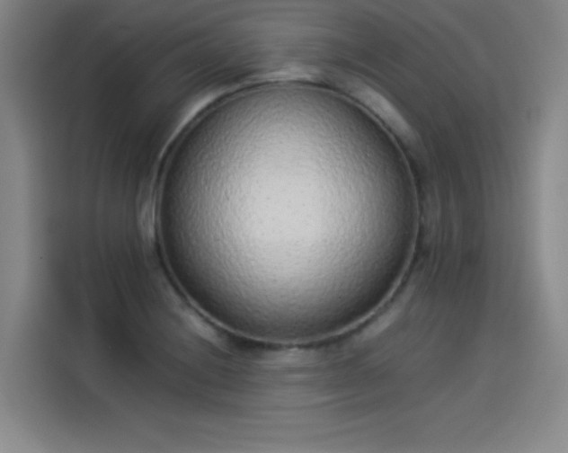 X0000114221228200910161301