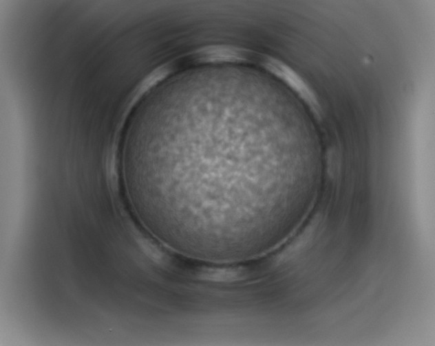 X0000114221229200910161301