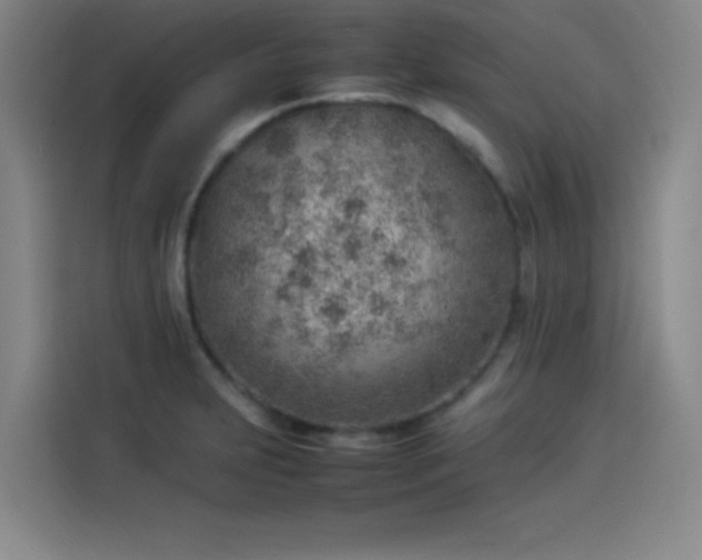 X0000114221231200910161301