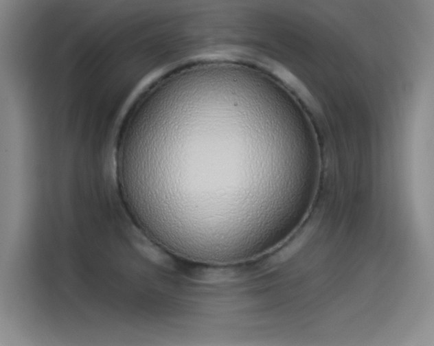 X0000114221232200910161301