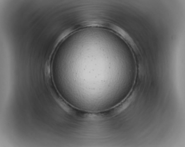 X0000114221234200910161301