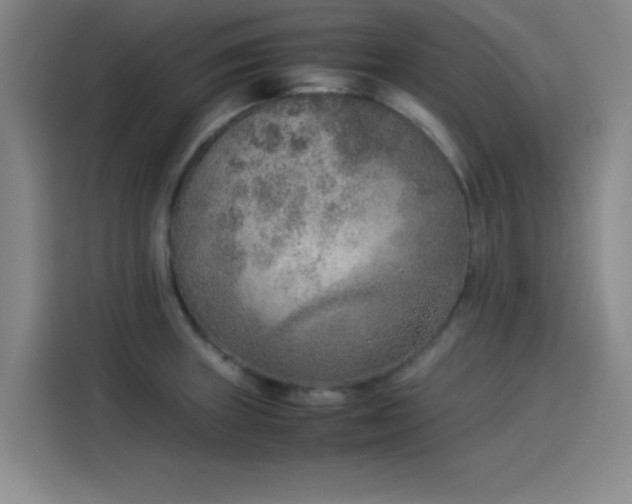 X0000114221235200910161301