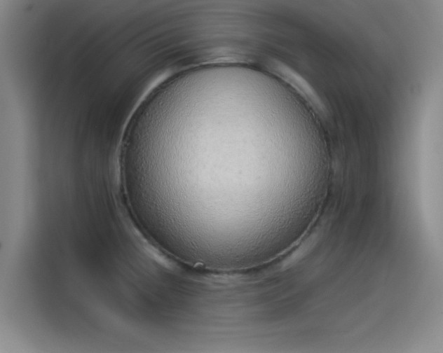 X0000114221236200910161301