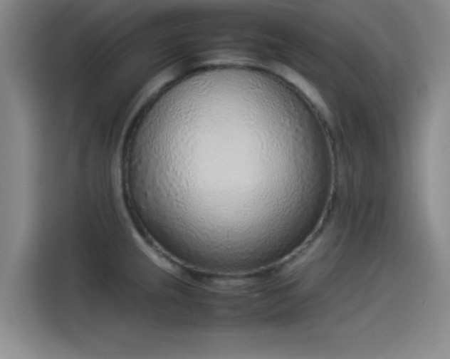 X0000114221237200910161301