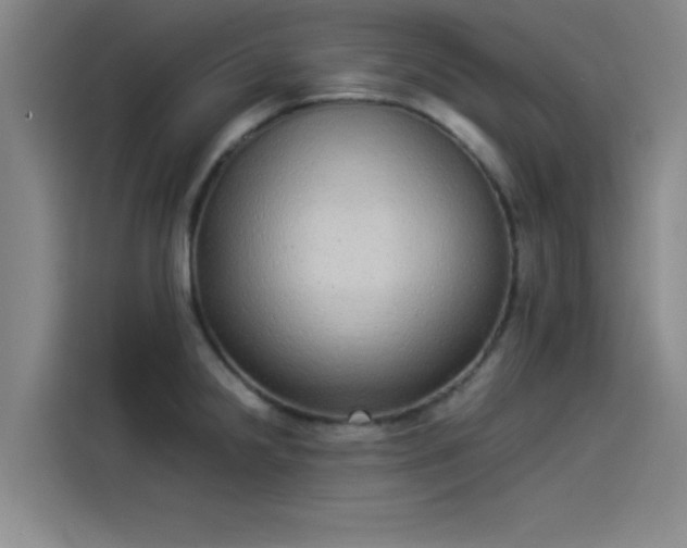 X0000114221238200910161301