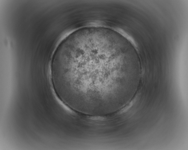 X0000114221239200910161301