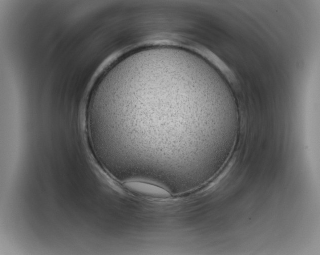 X0000114221240200910161301