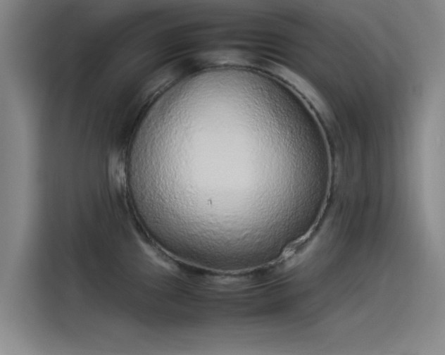 X0000114221241200910161301