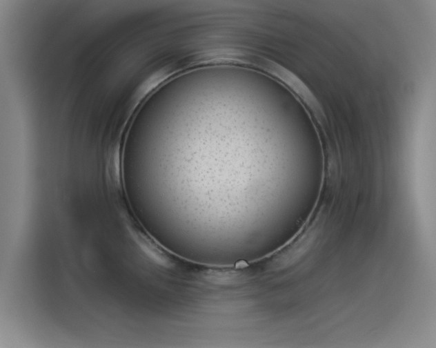 X0000114221242200910161301