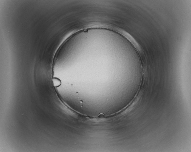 X0000114221244200910161301