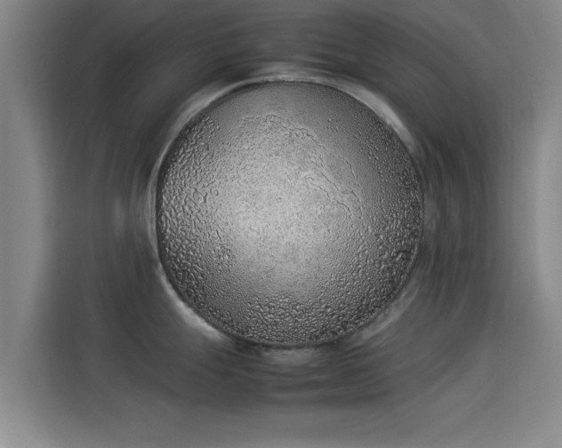 X0000114221247200910161301