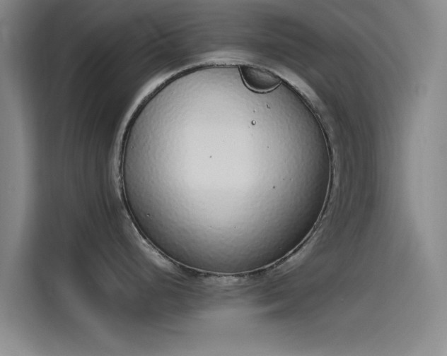 X0000114221248200910161301