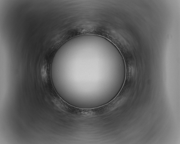 X0000114221250200910161300