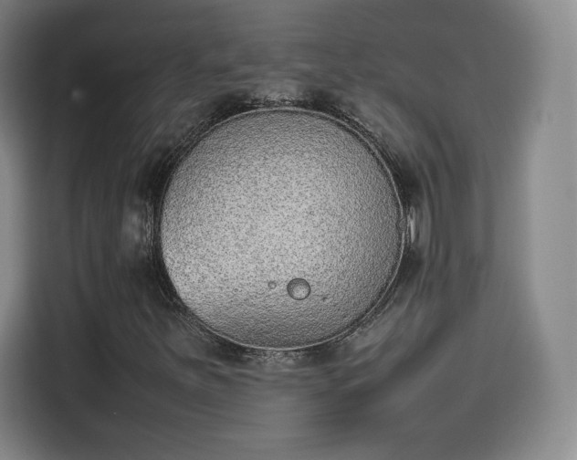 X0000114221251200910161300