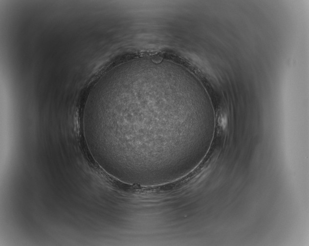 X0000114221252200910161300