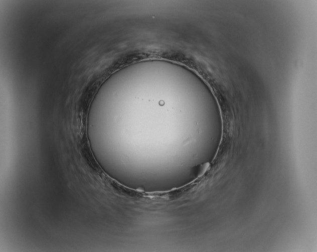 X0000114221253200910161300