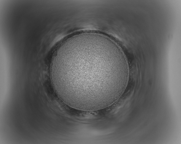 X0000114221255200910161300