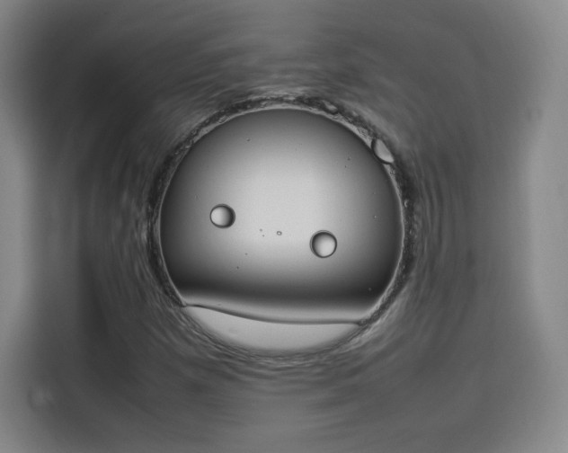 X0000114221257200910161300